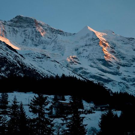 Hotel Edelweiss Wengen Exterior photo