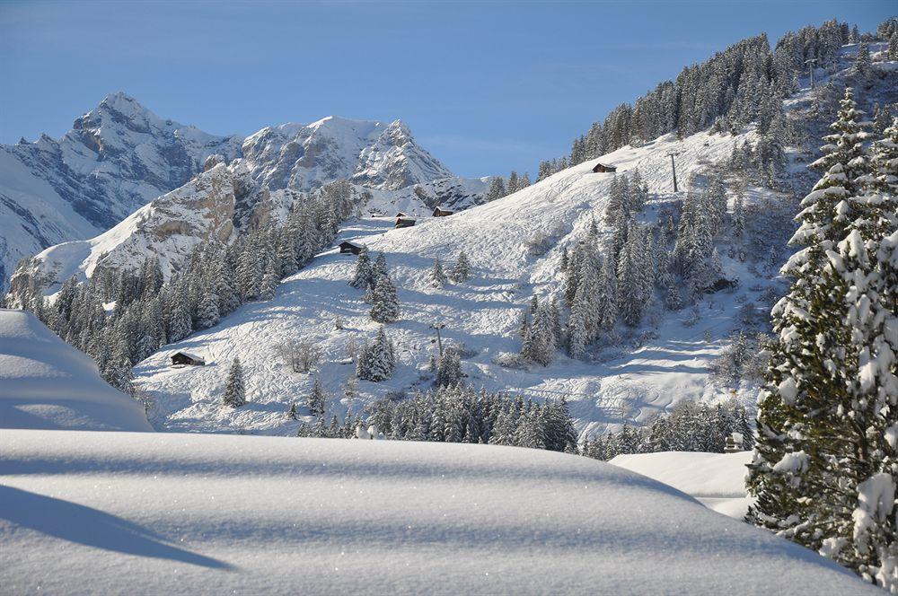 Hotel Edelweiss Wengen Exterior photo